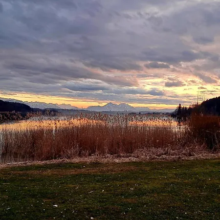 Wallersee * Neumarkt am Wallersee