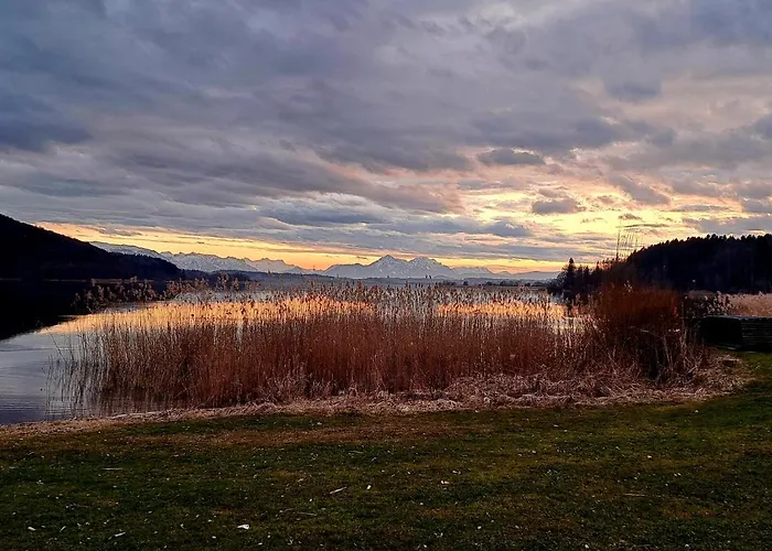 Wallersee * Neumarkt am Wallersee