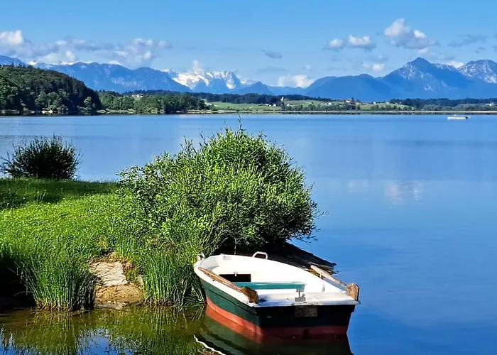 Wallersee * Neumarkt am Wallersee